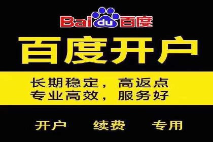 百度SEO推广：从零到一的成长案例